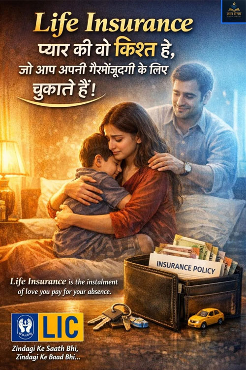 Offer Plan 12