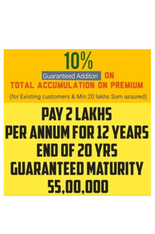 Offer Plan 14